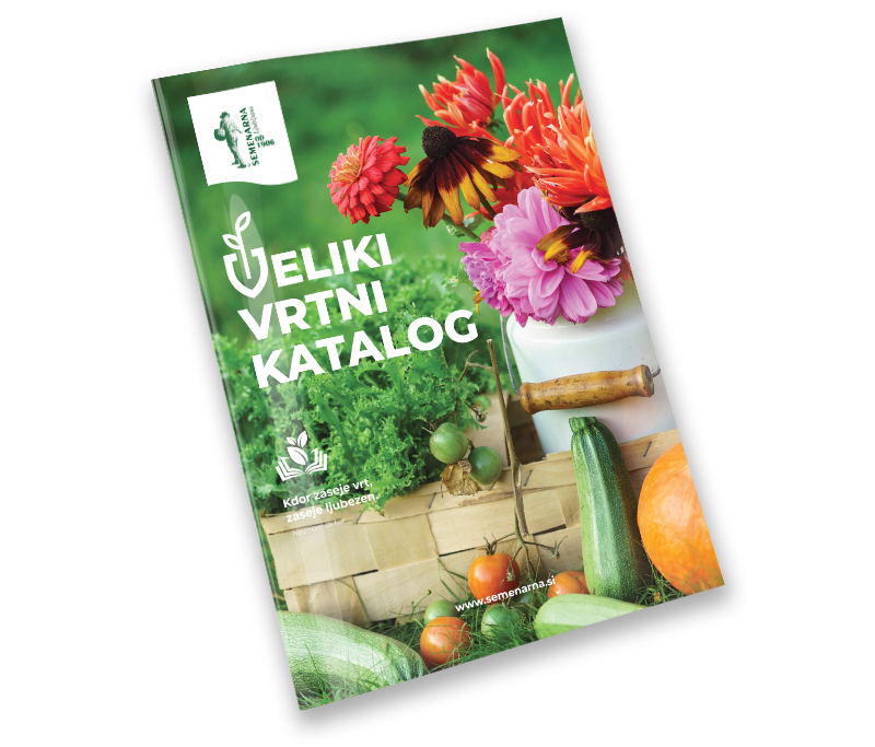 Katalogi in brošure b2b.semenarna
